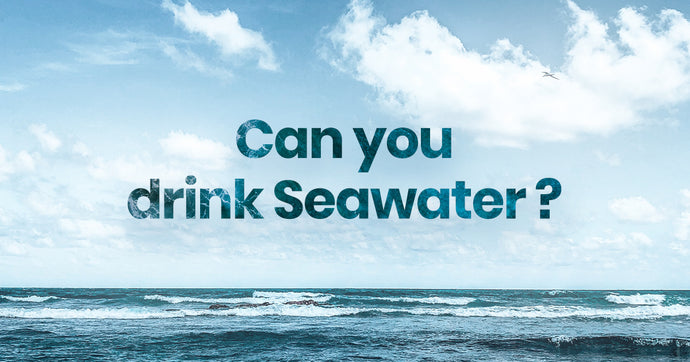 Can you drink seawater? | QuenchSea
